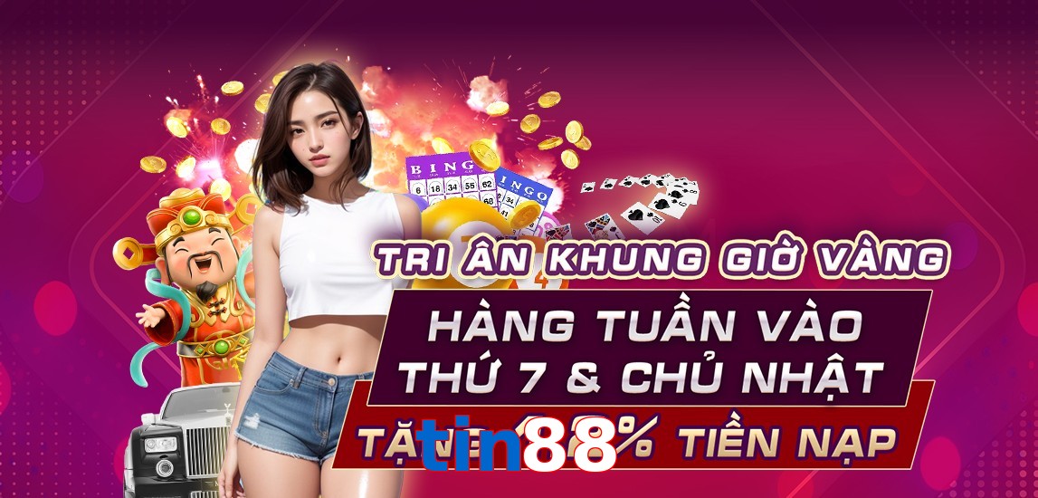 tin88