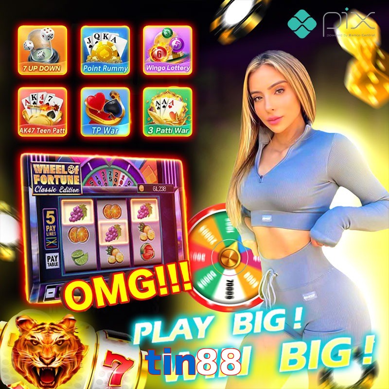 tin88