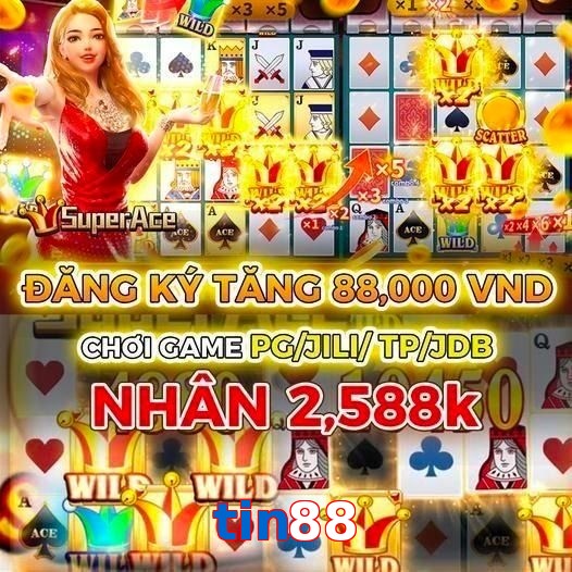 tin88