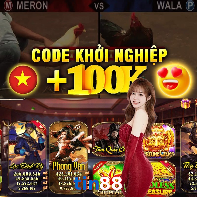 tin88