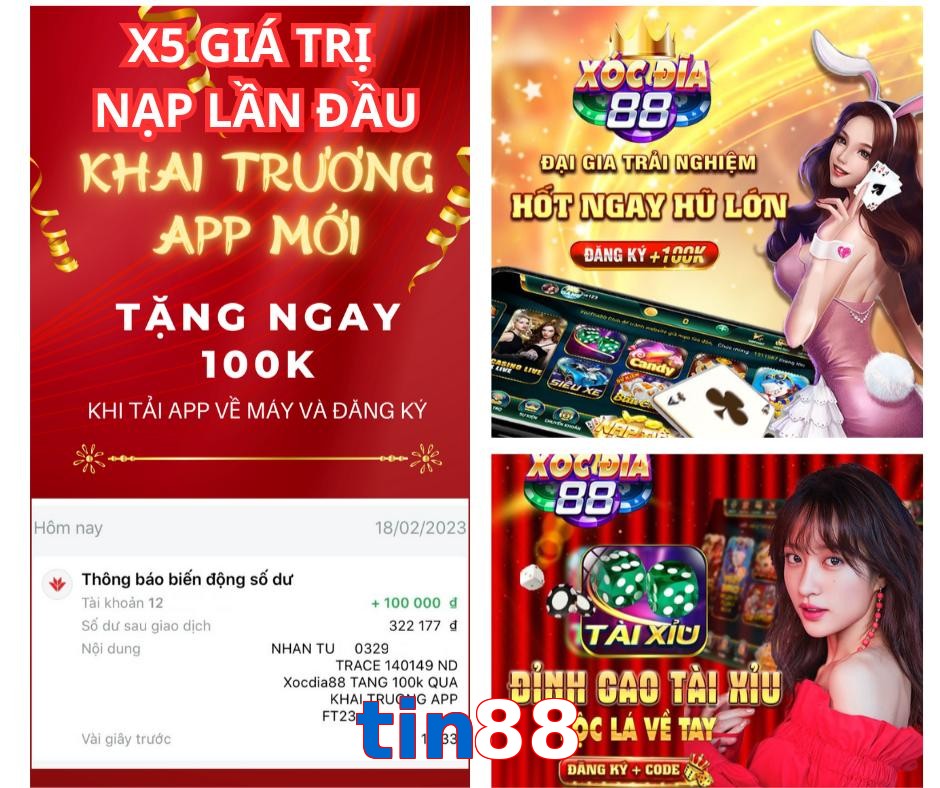tin88